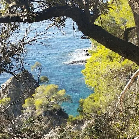 4 Personnes Wifi Hyeres